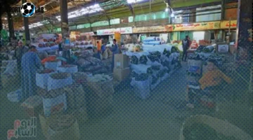 انخفاض أسعار الخضراوات وهدوء ملحوظ في سوق الفاكهة بسوهاج